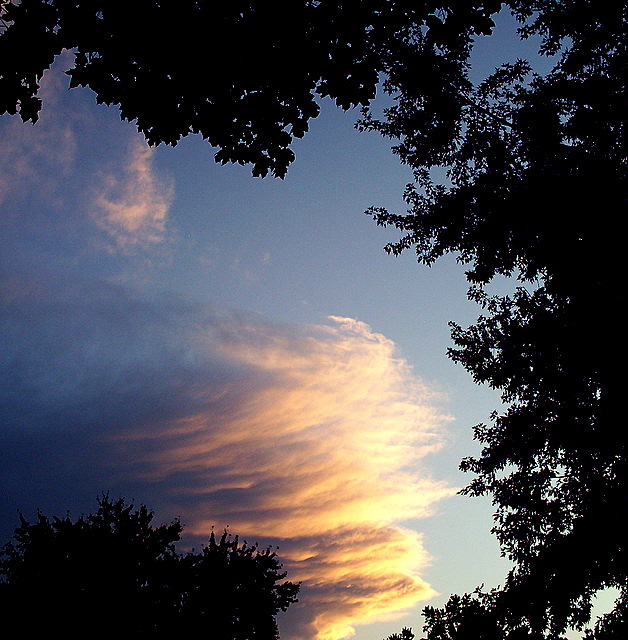 photograph copyright by Nanne Barkdull 2007